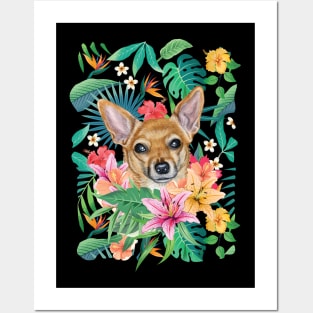 Tropical Short Haired Red White Chihuahua 1 Posters and Art